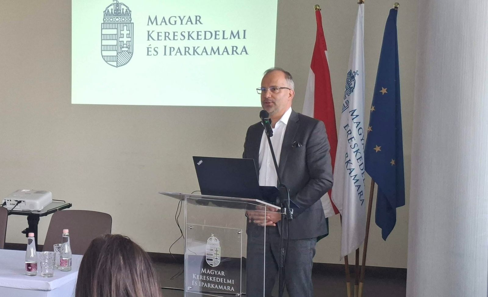 Csókay Ákos - kép