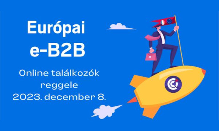 Európai e-B2B - online üzleti találkozó