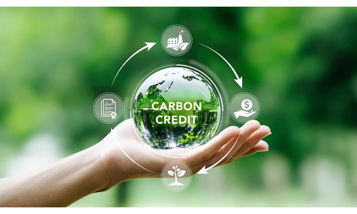 Tájékoztató a dekarbonizációs támogatási programokról