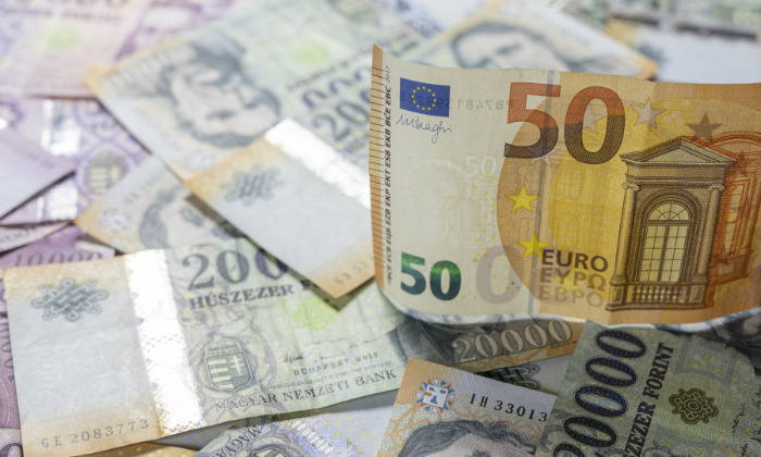 Gyorsfelmérés a forint-euró árfolyam gazdasági hatásairól