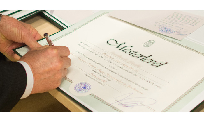 Pályázati kiírás mestervizsga elnököknek