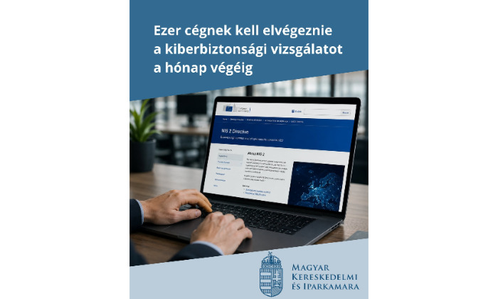 Ezer cégnek kell elvégeznie a kiberbiztonsági vizsgálatot a hónap végéig
