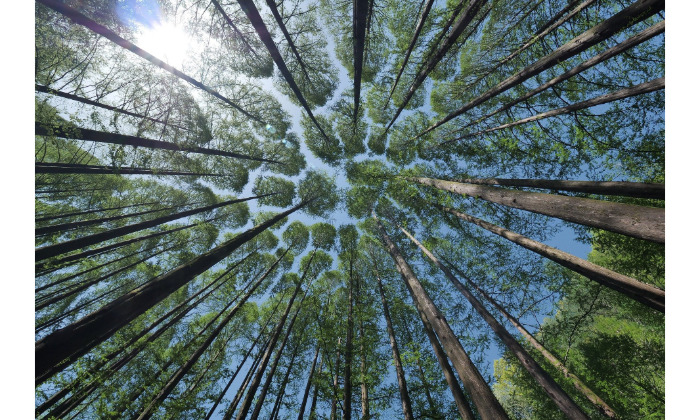 Szakmai nap kkv-k számára